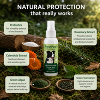 FreshPaw™ Dental Spray – Eliminates the bacteria that cause tartar and bad breath in dogs