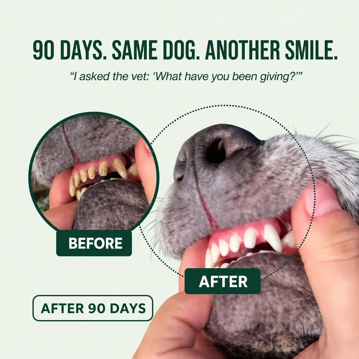 FreshPaw™ Dental Spray – Eliminates the bacteria that cause tartar and bad breath in dogs